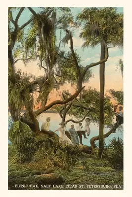 Journal d'époque Chêne à pique-nique, St. Petersburg, Floride - Vintage Journal Picnic Oak, St. Petersburg, Florida
