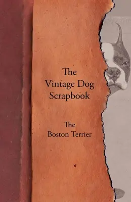 L'album du chien d'époque - Le terrier de Boston - The Vintage Dog Scrapbook - The Boston Terrier