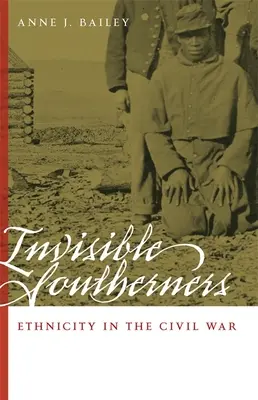 Les Sudistes invisibles : L'ethnicité dans la guerre civile - Invisible Southerners: Ethnicity in the Civil War
