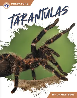 Tarentules - Tarantulas