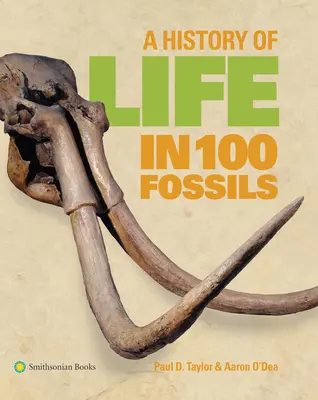 Une histoire de la vie en 100 fossiles - A History of Life in 100 Fossils