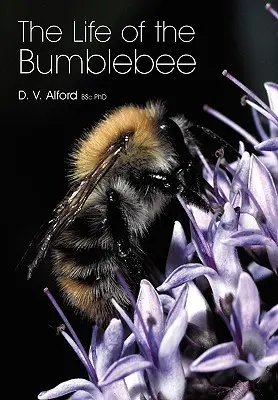 La vie du bourdon - The Life of the bumblebee