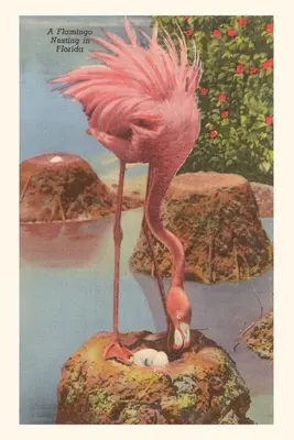 Journal d'époque Flamant nichant en Floride - Vintage Journal Flamingo Nesting in Florida
