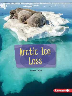 Perte de glace dans l'Arctique - Arctic Ice Loss