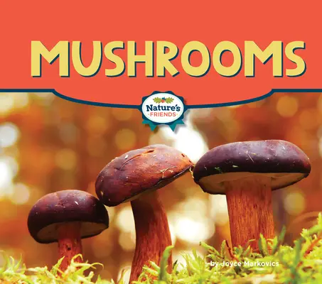 Champignons - Mushrooms