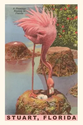 Journal d'époque Flamant nichant à Stuart, Floride - Vintage Journal Flamingo Nesting in Stuart, Florida