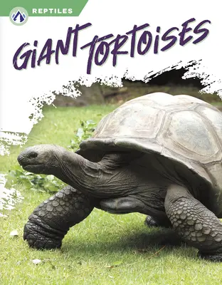 Tortues géantes - Giant Tortoises