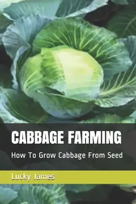 Culture du chou : Comment cultiver le chou à partir de semences - Cabbage Farming: How To Grow Cabbage From Seed