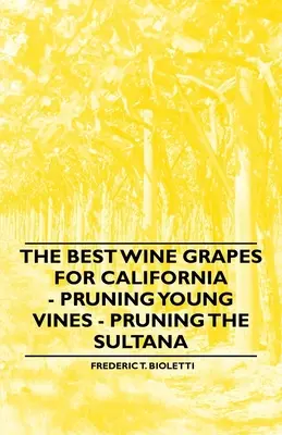 Les meilleurs raisins de cuve pour la Californie - Taille des jeunes vignes - Taille de la sultane - The Best Wine Grapes for California - Pruning Young Vines - Pruning the Sultana