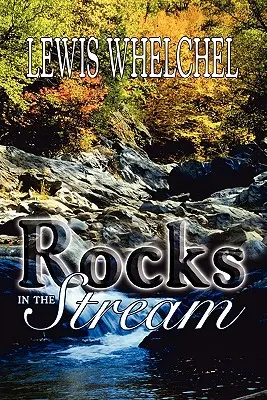 Des pierres dans le ruisseau - Rocks in the Stream