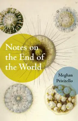 Notes sur la fin du monde - Notes on the End of the World