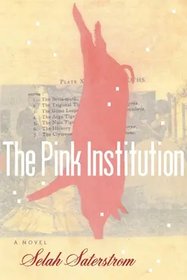 L'institution rose - The Pink Institution