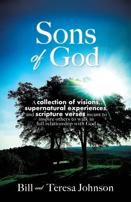 Les fils de Dieu : Une collection de visions, d'expériences surnaturelles et de versets bibliques destinés à inspirer d'autres personnes à marcher dans une relation pleine et entière avec Dieu. - Sons of God: A collection of visions, supernatural experiences, and scripture verses meant to inspire others to walk in full relati