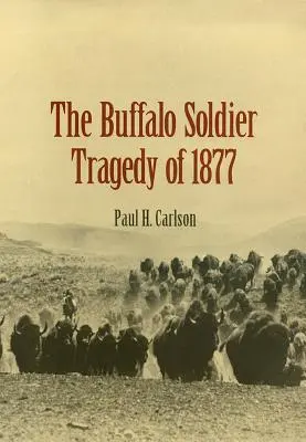 La tragédie du soldat Buffalo en 1877 - The Buffalo Soldier Tragedy of 1877