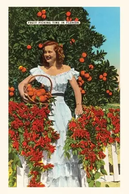 Journal d'époque Southern Belle, Oranges, Floride - Vintage Journal Southern Belle, Oranges, Florida