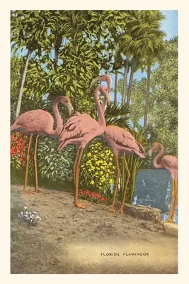 Journal d'époque Flamingos, Floride - Vintage Journal Flamingos, Florida
