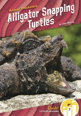 Tortue serpentine - Alligator Snapping Turtles