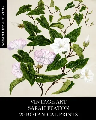 Art Vintage : Sarah Featon : 20 tirages botaniques - Vintage Art: Sarah Featon 20 Botanical Prints