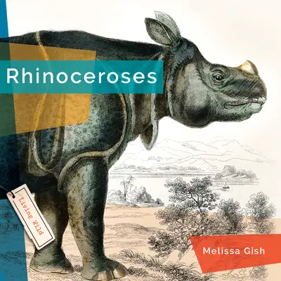 Rhinocéros - Rhinoceroses