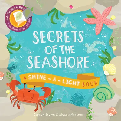 Les secrets du bord de mer - Secrets of the Seashore