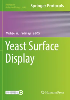 Affichage de la surface de la levure - Yeast Surface Display