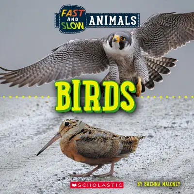 Rapides et lents : les oiseaux (Le monde sauvage) - Fast and Slow: Birds (Wild World)