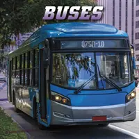 Bus - Buses