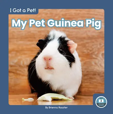 Mon cochon d'Inde - My Pet Guinea Pig