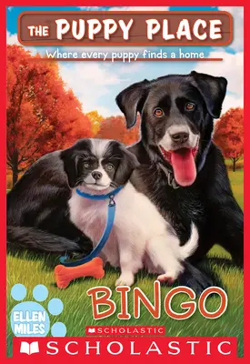 Bingo (La place du chiot n°65) - Bingo (the Puppy Place #65)