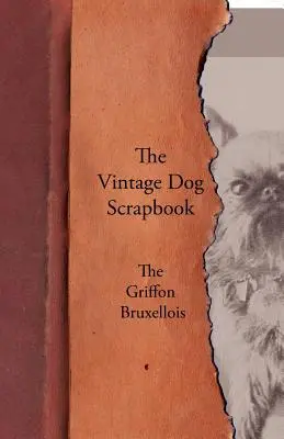 L'album du chien d'époque - Le Griffon Bruxellois - The Vintage Dog Scrapbook - The Griffon Bruxellois