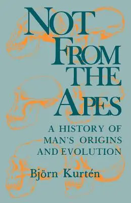 Pas des singes : une histoire des origines et de l'évolution de l'homme - Not from the Apes: A History of Man's Origins and Evolution