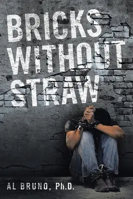 Des briques sans paille - Bricks Without Straw