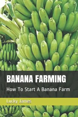 Culture de la banane : Comment démarrer une culture de bananes&nbsp;? - Banana Farming: How To Start A Banana Farm
