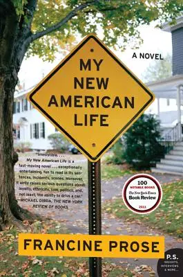 Ma nouvelle vie américaine - My New American Life