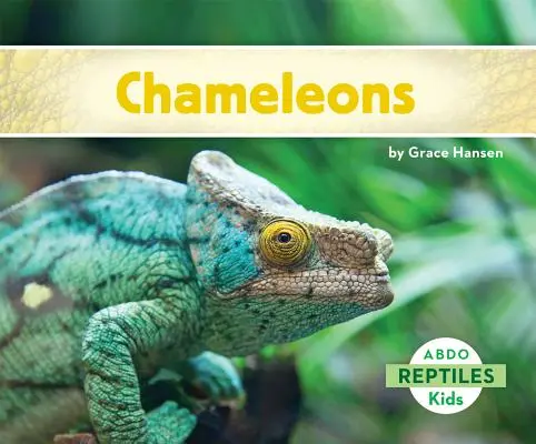 Caméléons - Chameleons
