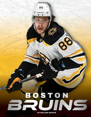 Bruins de Boston - Boston Bruins