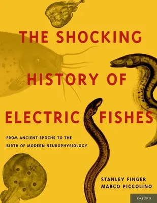 L'histoire choquante des poissons électriques : Des temps anciens à la naissance de la neurophysiologie moderne - Shocking History of Electric Fishes: From Ancient Epochs to the Birth of Modern Neurophysiology