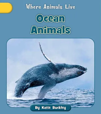 Animaux de l'océan - Ocean Animals