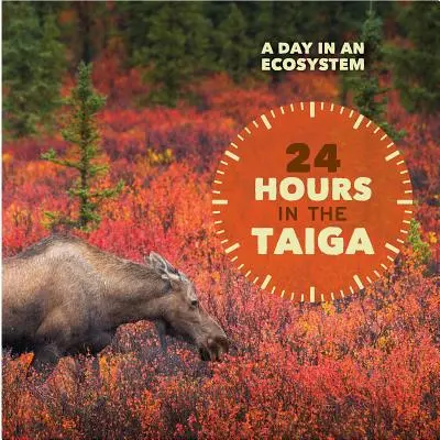 24 heures dans la taïga - 24 Hours in the Taiga