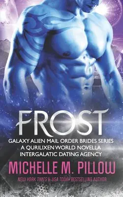 Frost : Une nouvelle du monde de Qurilixen - Frost: A Qurilixen World Novella