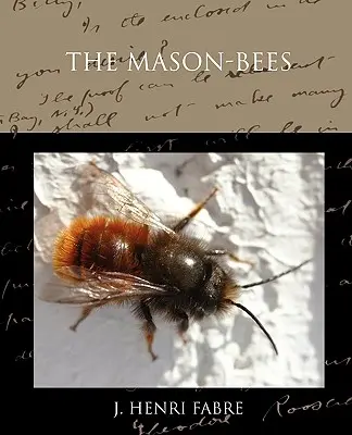 Les abeilles maçonnes - The Mason-bees