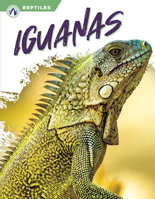 Iguanes - Iguanas