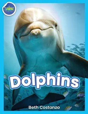 Dauphins ! - Dolphins!