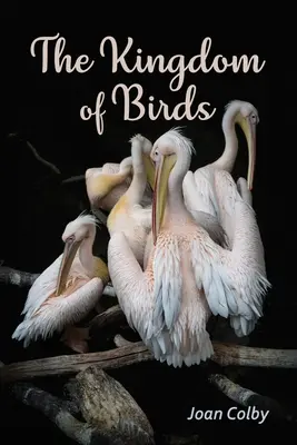 Le royaume des oiseaux - The Kingdom of Birds