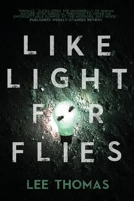 Comme de la lumière pour les mouches : Histoires - Like Light for Flies: Stories