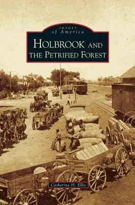 Holbrook et la forêt pétrifiée - Holbrook and the Petrified Forest