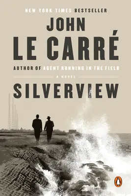 Le point de vue de l'argent - Silverview