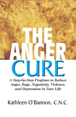 La cure de la colère : un programme étape par étape pour réduire la colère, la rage, la négativité, la violence et la dépression dans votre vie - The Anger Cure: A Step-By-Step Program to Reduce Anger, Rage, Negativity, Violence, and Depression in Your Life