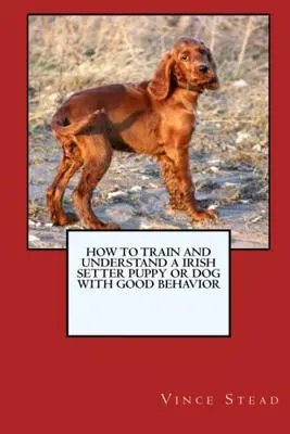 Comment dresser et élever un chiot ou un chien Setter irlandais avec un bon comportement - How to Train and Raise a Irish Setter Puppy or Dog with Good Behavior