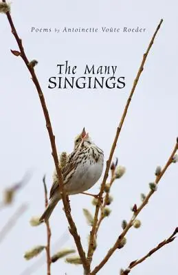 Les nombreux chants - The Many Singings